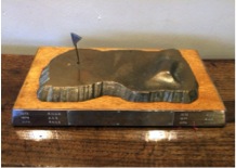 AG The Perfect Green